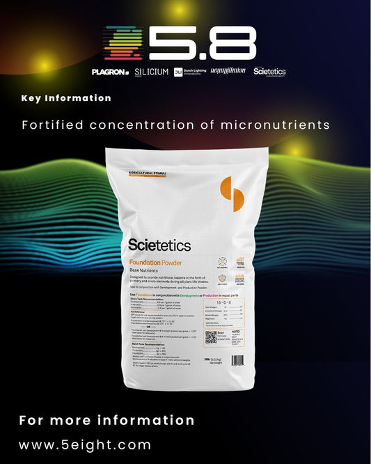 Foundation by Scietetics (DRY)