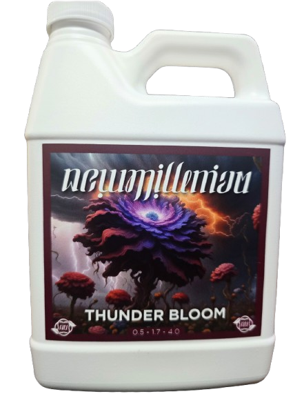 New Millenium Thunder Bloom