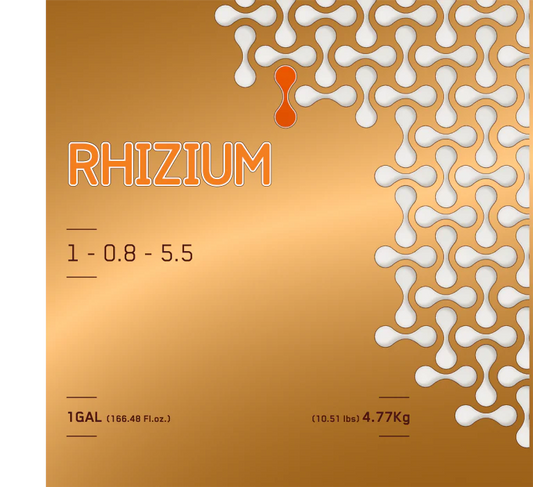 Rhizium